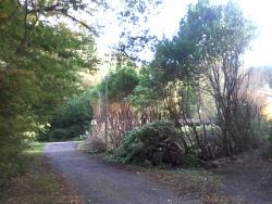 Photo0059