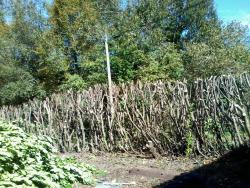Photo0068
